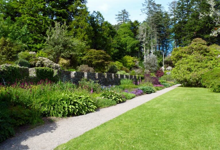 tuin