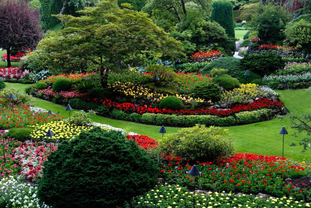 bloementuin