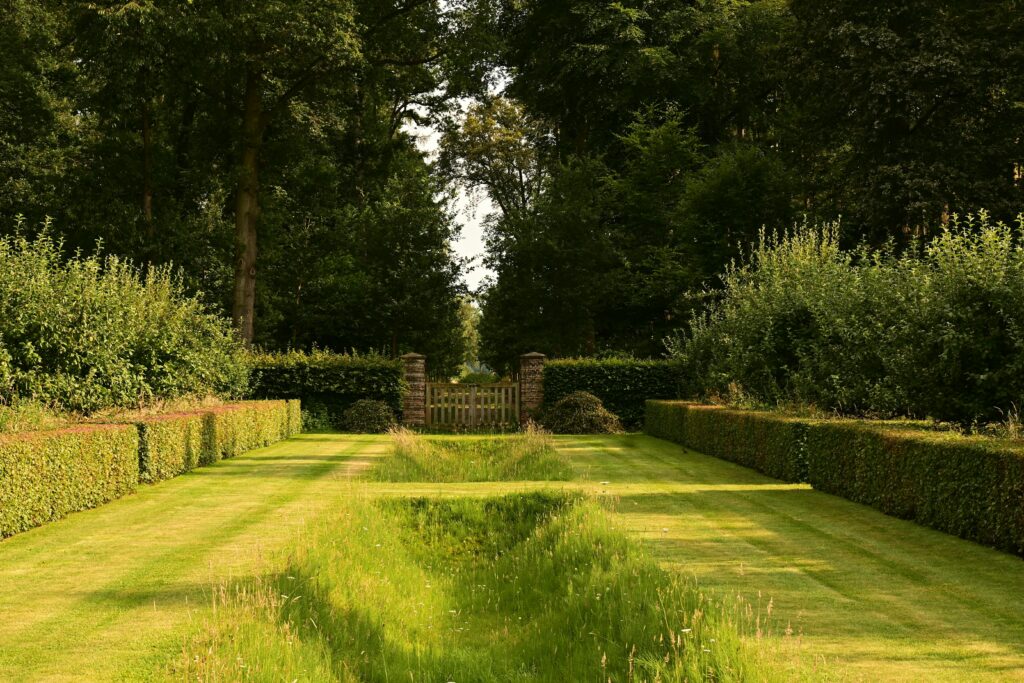 A tranquil garden pathway lined with lush greenery and trimmed hedges on a sunny summer day.